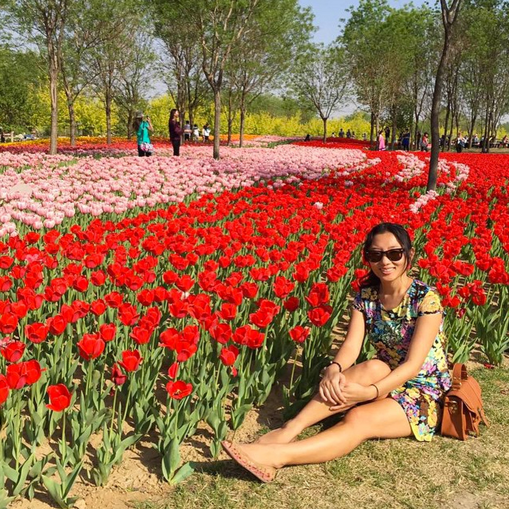 tulip field on Instagram by slightlyastray